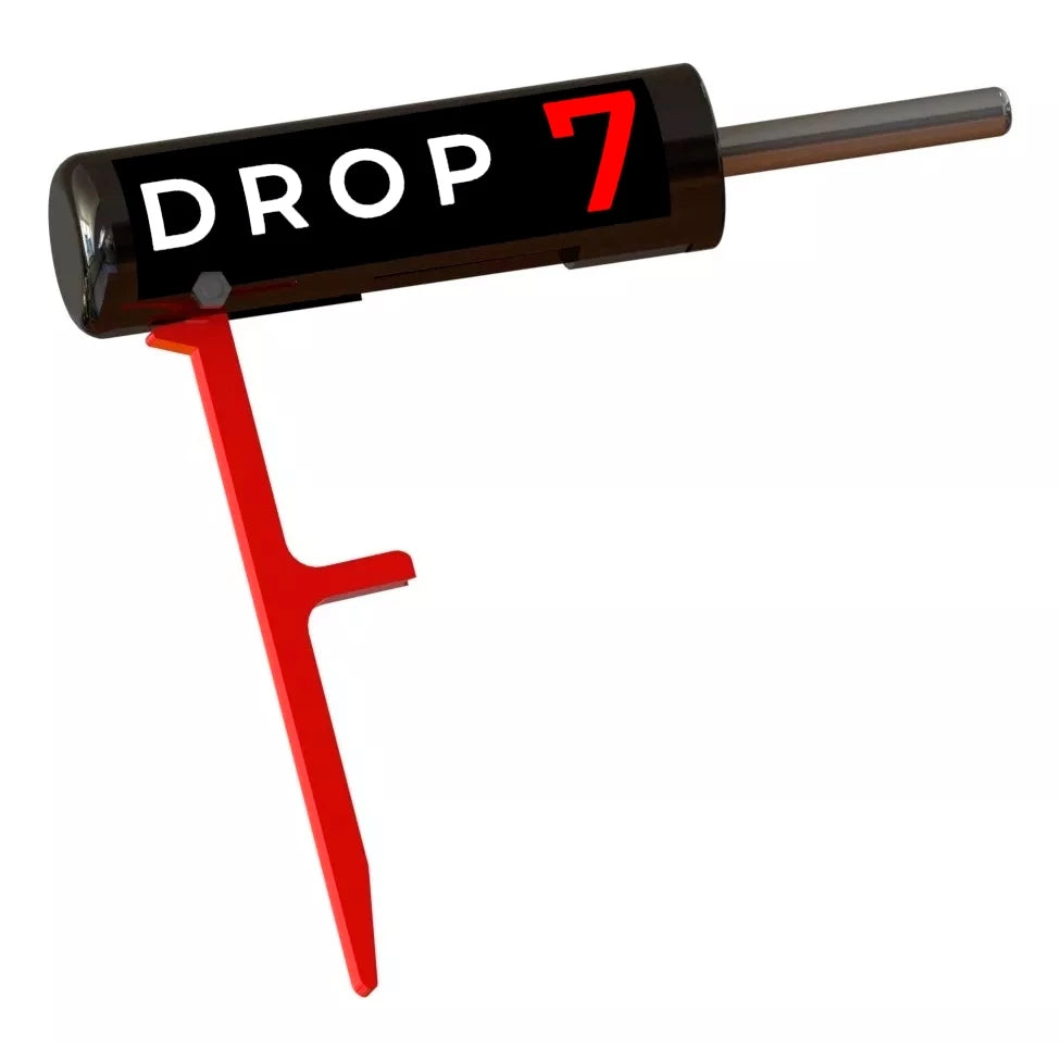 2 pino dropset academia fitness