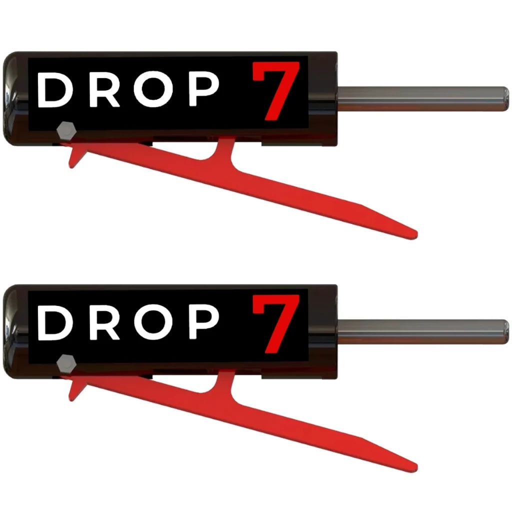 2 pino dropset academia fitness